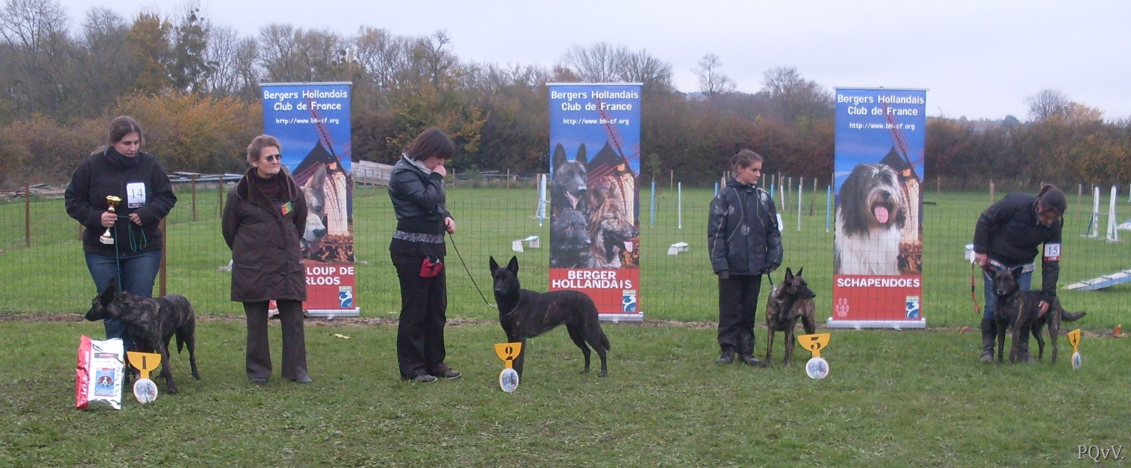 classe ouverte femelles : Flamme Argentee, Fantasia, Fashion, Freedom 